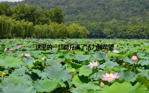 这里的一切都充满了活力和希望