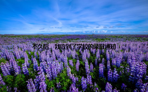 不久后, 我收到了学校的录取通知