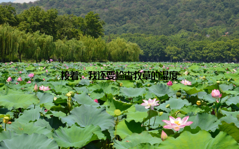 接着, 我还要检查牧草的湿度