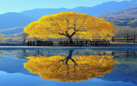 我们要明确, 市场波动是不可避免的