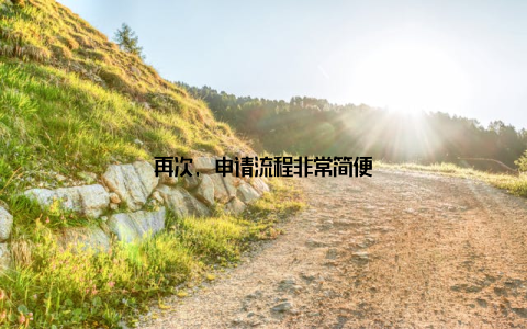 再次, 申请流程非常简便