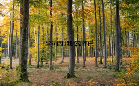 这句话让我感动不已