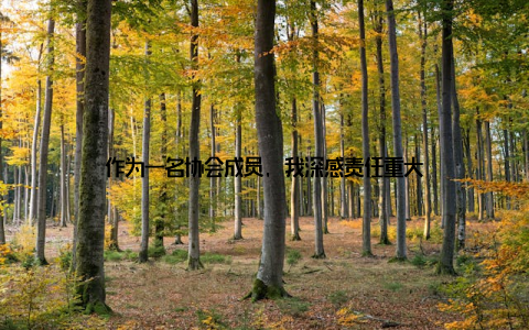 作为一名协会成员, 我深感责任重大