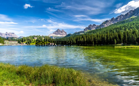 回首这次招聘会, 我感慨万千