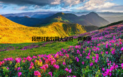 我想对畜牧网大全说一声谢谢