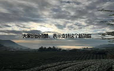 大家纷纷点赞, 表示支持这个新简称