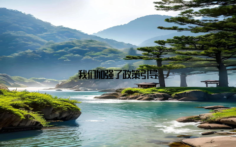 我们加强了政策引导