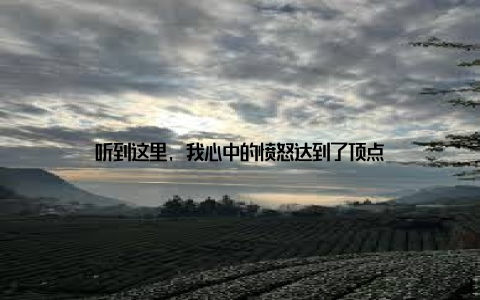 听到这里, 我心中的愤怒达到了顶点