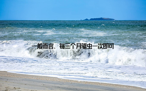 一般而言, 每三个月驱虫一次即可