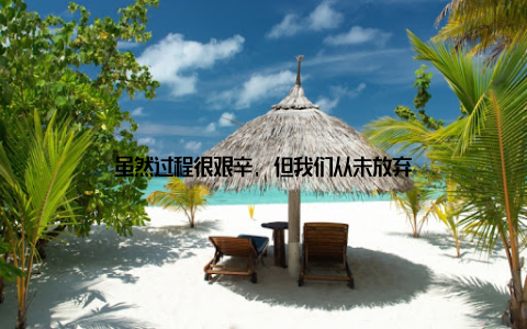 虽然过程很艰辛, 但我们从未放弃