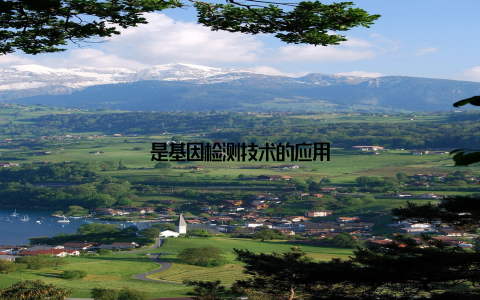 是基因检测技术的应用