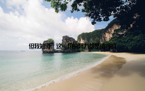 但我知道, 这一切的努力都是值得的