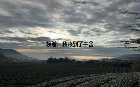 接着, 我来到了牛舍