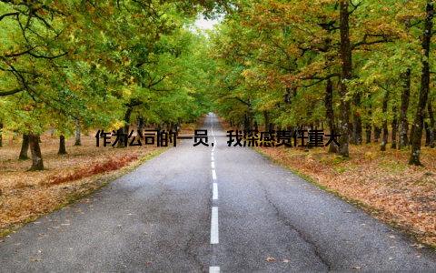 作为公司的一员, 我深感责任重大