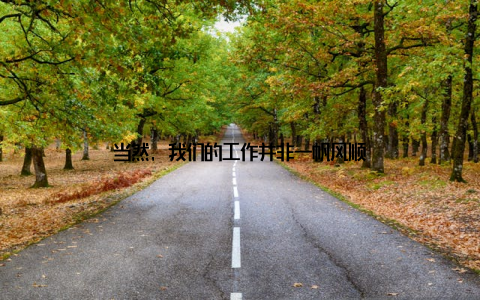 当然, 我们的工作并非一帆风顺