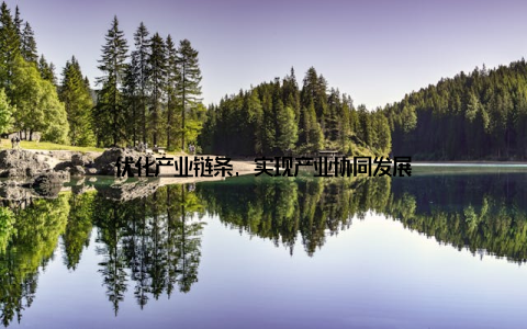 优化产业链条, 实现产业协同发展