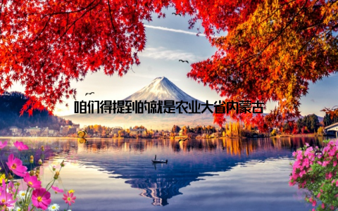 咱们得提到的就是农业大省内蒙古