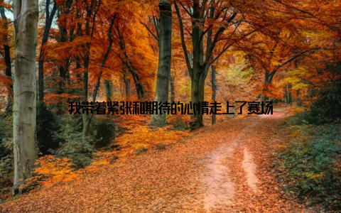 我带着紧张和期待的心情走上了赛场