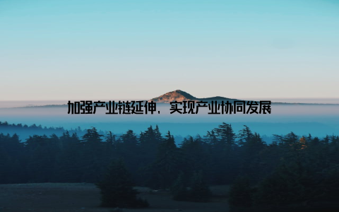 加强产业链延伸, 实现产业协同发展