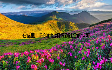 在这里, 你的付出将得到社会的认可