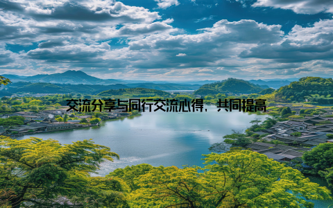 交流分享与同行交流心得, 共同提高