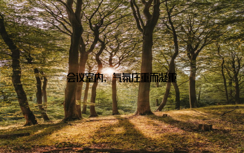 会议室内, 气氛庄重而凝重