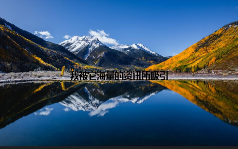 我被它海量的资讯所吸引