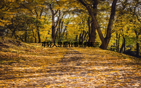 年轻人是畜牧事业的未来