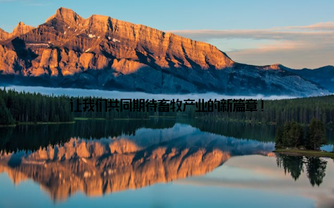 让我们共同期待畜牧产业的新篇章!