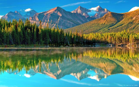 一位业内人士激动地说