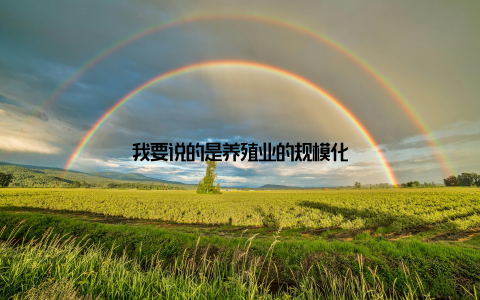 我要说的是养殖业的规模化