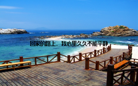 回家的路上, 我心里久久不能平静