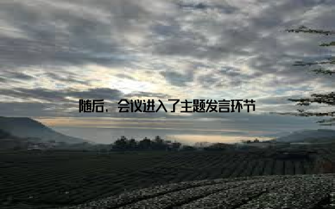 随后, 会议进入了主题发言环节