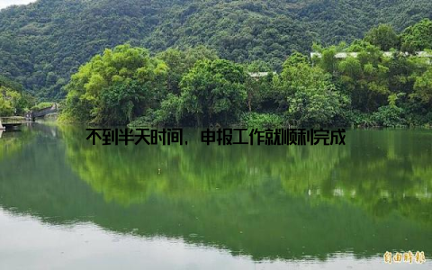 不到半天时间, 申报工作就顺利完成