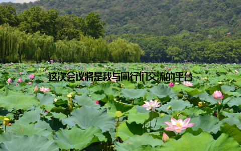 这次会议将是我与同行们交流的平台