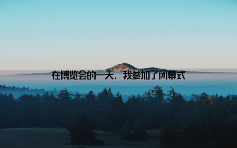 在博览会的一天, 我参加了闭幕式