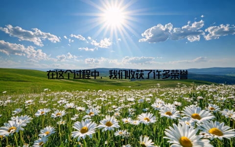 在这个过程中, 我们收获了许多荣誉