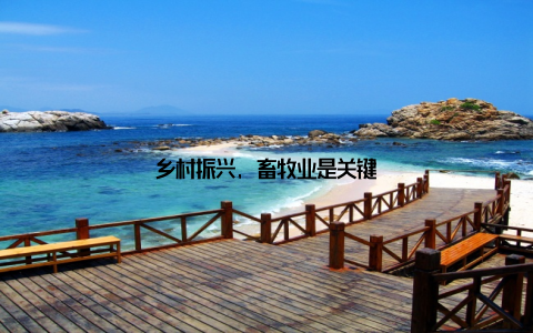 乡村振兴, 畜牧业是关键