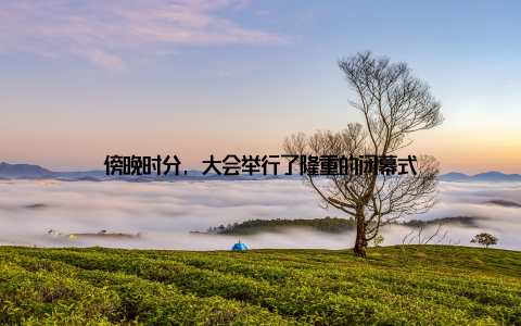 傍晚时分, 大会举行了隆重的闭幕式