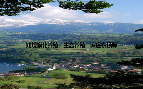 如规模化养殖、生态养殖、家庭农场等