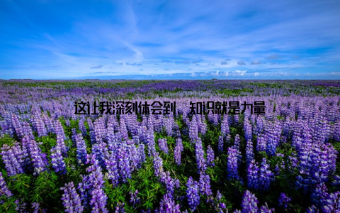 这让我深刻体会到, 知识就是力量