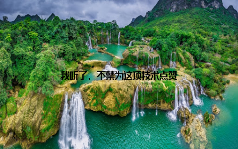 我听了, 不禁为这项技术点赞