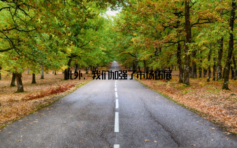 此外, 我们加强了市场拓展