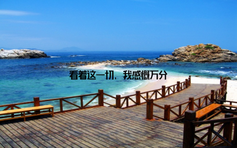 看着这一切, 我感慨万分