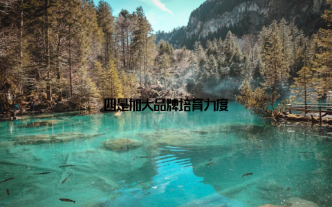 四是加大品牌培育力度