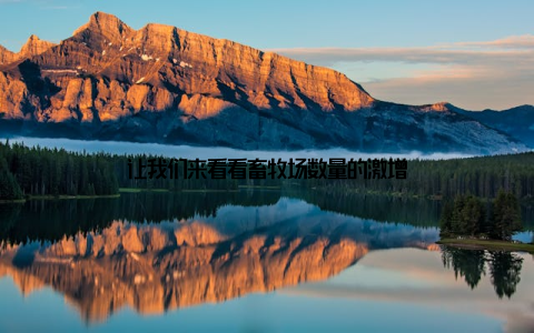 让我们来看看畜牧场数量的激增