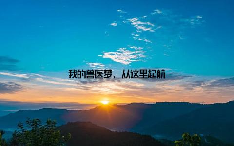 我的兽医梦, 从这里起航