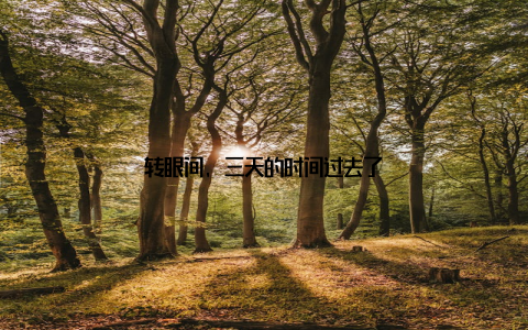 转眼间, 三天的时间过去了