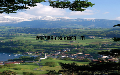 现实却给了我沉重的一击