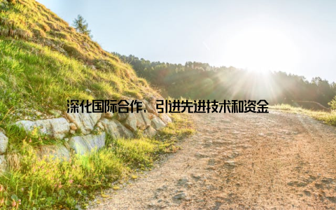 深化国际合作, 引进先进技术和资金